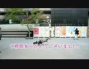 【フラッシュモブ】ルカルカ☆ナイトフィーバー【踊ってみた】