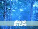 琥珀の森〖verゆる猫〗