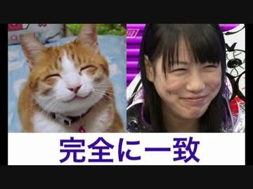 ぶっこみの高さん