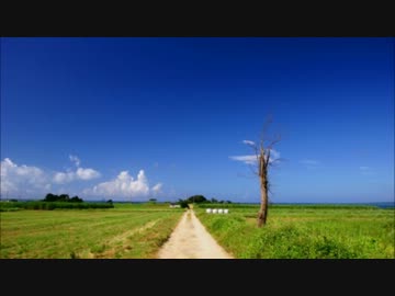 walking on mypace/SELLER,リッポ