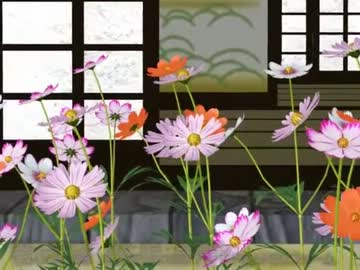 【千早(イア)】秋桜 (コスモス)【山口百恵】MikuMikuDance