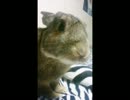 しんかんせん