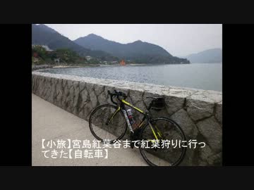 【小旅】宮島紅葉谷まで紅葉狩りに行ってきた【自転車】