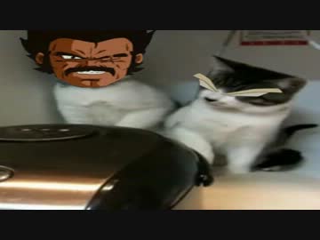 炊飯器と戦うブロリー達