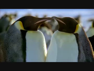 極地・氷の世界 (01 of 02)