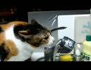 water.wmv
