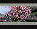 高宮平大神降ろし（絶景版）