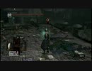 【DARK SOULS PvP】上質戦士でﾊﾞｯｸｽﾃｯﾎﾟｩ