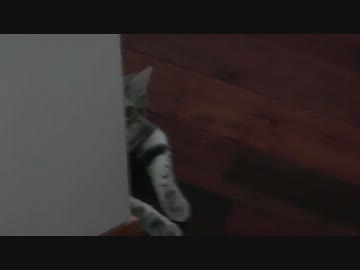 【実録】こんなストーカーなら大歓迎