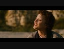 La Vie En Rose 9/9