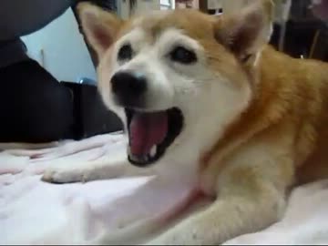 お風呂でハッスル(１２年１１月１９日)