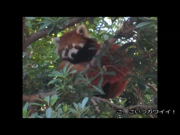 2012/11/18　自転車で舞浜まで行ってみた。