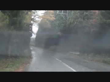 とある霧の日の道後山下山