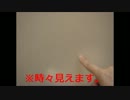 83.美人さん、時々見えます。The beauty is sometimes seen.