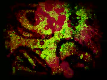 処女民族ちゃん　第一話