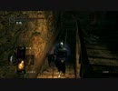 DSプレイ動画17