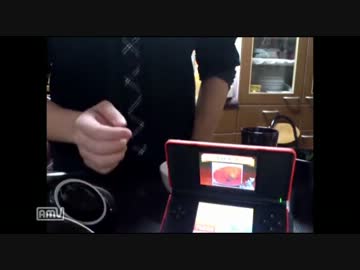 ヘタリア好きがDSソフトでトルコのトマトスープ