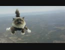 猫がパラシュートで空を飛ぶ衝撃映像！！！