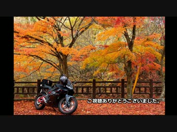 2012/11/18 帝釈峡 紅葉ツーリング
