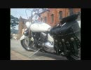 【バイクを】　DSC4にデュアルホーン付けてみた　【いじるよ】