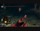 【ダークソウル】アルカリ侵入紀行 part8
