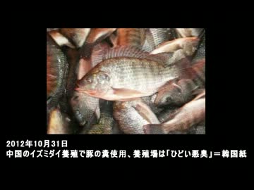 韓国の嘘．捏造シリーズ食文化編