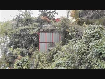 川根本町上長尾　廃道歩き