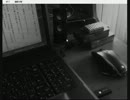 観音が「自殺請負人」を実況！～エピローグ～