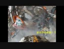 JNCC 　GAIA 　サンクスギビングXC