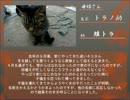 トラさん一家観察日記　番外編３