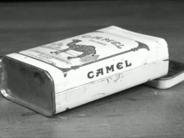 シャララ　　夢野忠春&sons