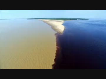 淡水・命あふれる (02 of 02)