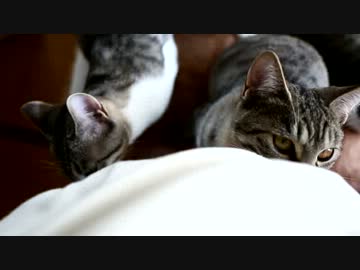 とても静かで暖かな場所