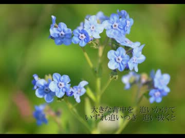 勿/忘/草 カバー