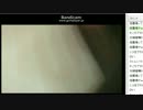 ニコナマは見た! 妊婦に衝撃のDVの一部始終2