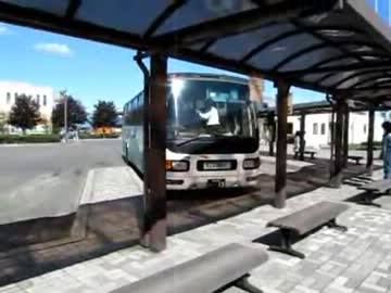 歩行動画　中標津編