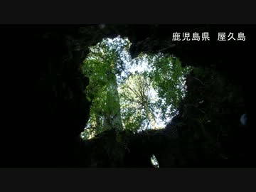 2012年旅行記　～未だ知られぬ日本へ～