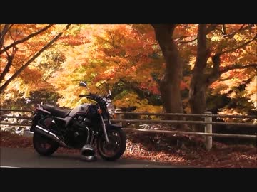 【車載動画】秋をもとめて山へ【CB750】