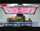 LED家庭菜園キット 植物栽培用省電力照明