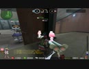 【ペーパーマン】トーナメント戦【Catworld】【0239】