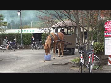 公務員試験落ちたから傷心旅行行ってくる（7日目）