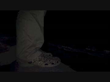 釣り動画テスト