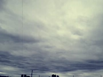 【歌ってみた】弾けないギターを片手に。【らすと】
