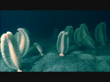 地球大進化「第02集 全球凍結」(02 of 02)