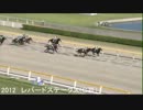 【競馬】第13回ジャパンカップダート　出走馬