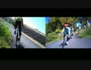 自転車レース 車載動画 平田クリテ c2 2012年11月 その1