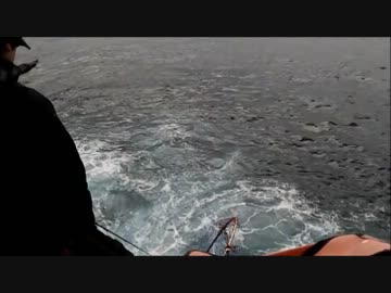 尾長グレを釣りたい！！byべたべた