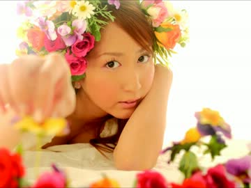 KOKIA　花