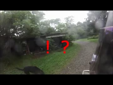 ニャッキとZXRと行く！【北海道編③】