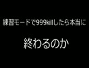 Diabloの日常~練習モードで999killしてみた~